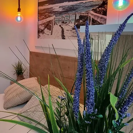 Vivienda Turistica Playa 公寓 埃尔波提尔